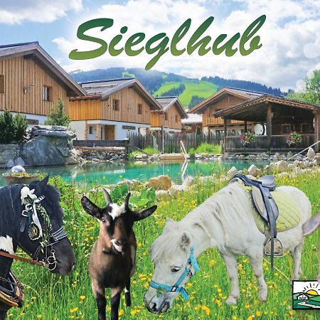 Sieglhub Chalets - Appartements - Hotel Flachau Bagian luar foto