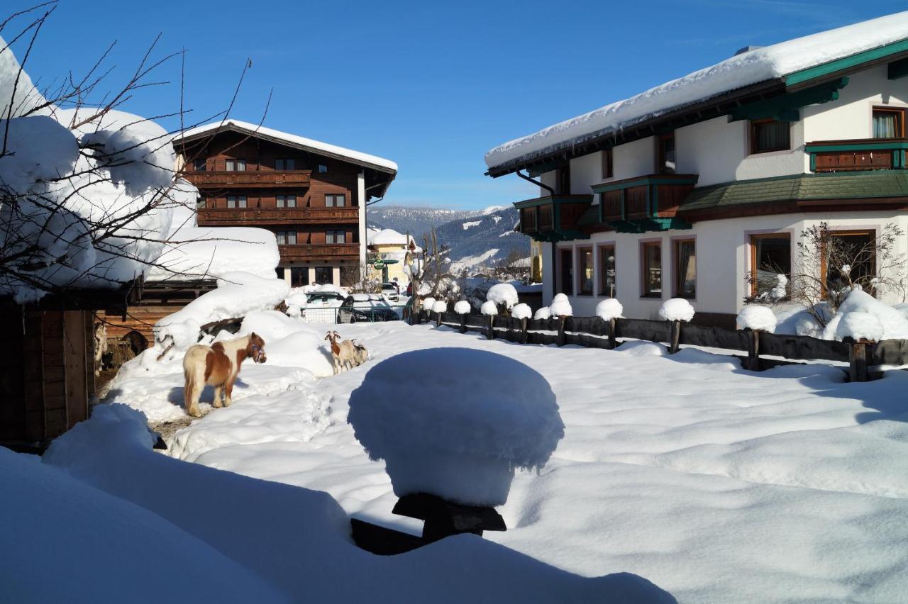 Sieglhub Chalets - Appartements - Hotel Flachau Bagian luar foto