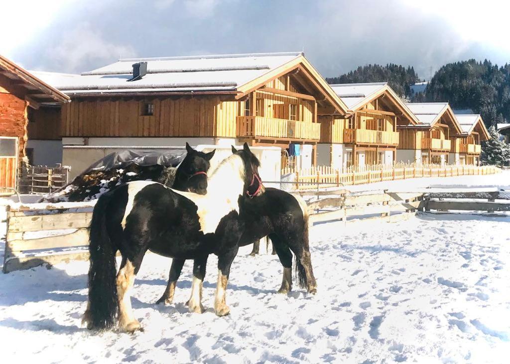 Sieglhub Chalets - Appartements - Hotel Flachau Bagian luar foto